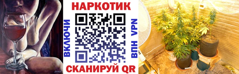 Купить закладку Урюпинск Гашиш Alpha PVP АМФ Бошки Шишки Галлюциногенные грибы МЕФ COCAIN