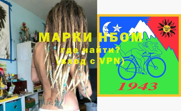 ешки Аркадак