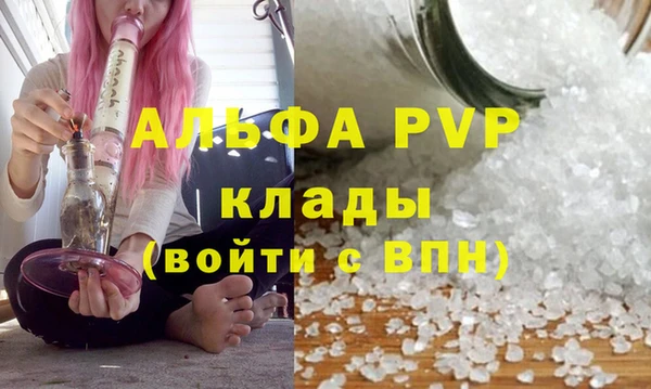 ешки Аркадак