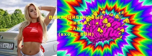 ешки Аркадак