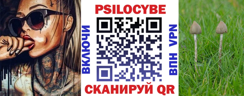 Псилоцибиновые грибы мицелий  Урюпинск 